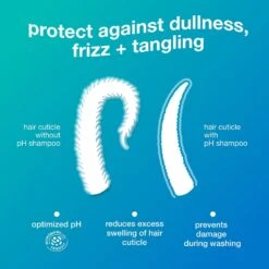 K18 Damage Shield PH Protective Shampoo 250ml -Price Attack Shop 858511000749 5 669803