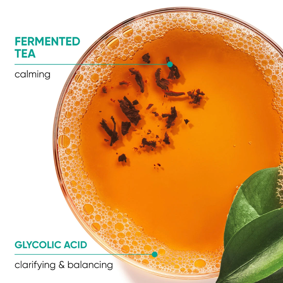 Biolage Scalp Sync Universal Conditioner 280ml 6 Biolage Scalp Sync Universal Conditioner 280ml - Image 4