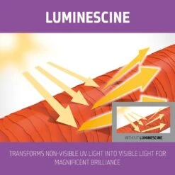 Goldwell Dualsenses Blondes & Highlights Anti-Yellow Shampoo 300ml 7 Goldwell Dualsenses Blondes & Highlights Anti-Yellow Shampoo 300ml -Price Attack Shop GW DS B H Images Anti YellowShampoo300ml Image3 PT02 293555