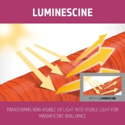 Goldwell Dualsenses Color Extra Rich Brilliance Conditioner 300ml -Price Attack Shop GW DS COLER Images BrillianceConditioner300ml Image3 PT02