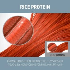 Goldwell Dualsenses Ultra Volume Bodifying Conditioner 300ml -Price Attack Shop GW DS UV Images BodifyingConditioner300ml Image3 PT02