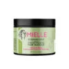 Mielle Rosemary Mint Strengthening Hair Masque 340g -Price Attack Shop RMHairMasque Front 5000x 77df7518 fe93 4a39 9136 0d4e5bcfd1ed