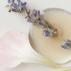 AG Care Sterling Silver Toning Shampoo 1L 19 AG Care Sterling Silver Toning Shampoo 1L -Price Attack Shop ag care sterling silver toning shampoo 1L 5 619580