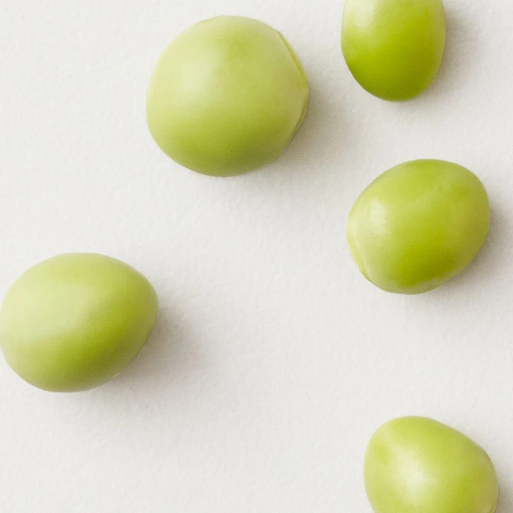 AG Care Thikk Wash Volumizing Shampoo 1L 9 AG Care Thikk Wash Volumizing Shampoo 1L - Image 7