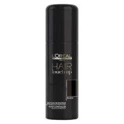 L'oreal Professionnel Hair Touch Up Black 75ml
