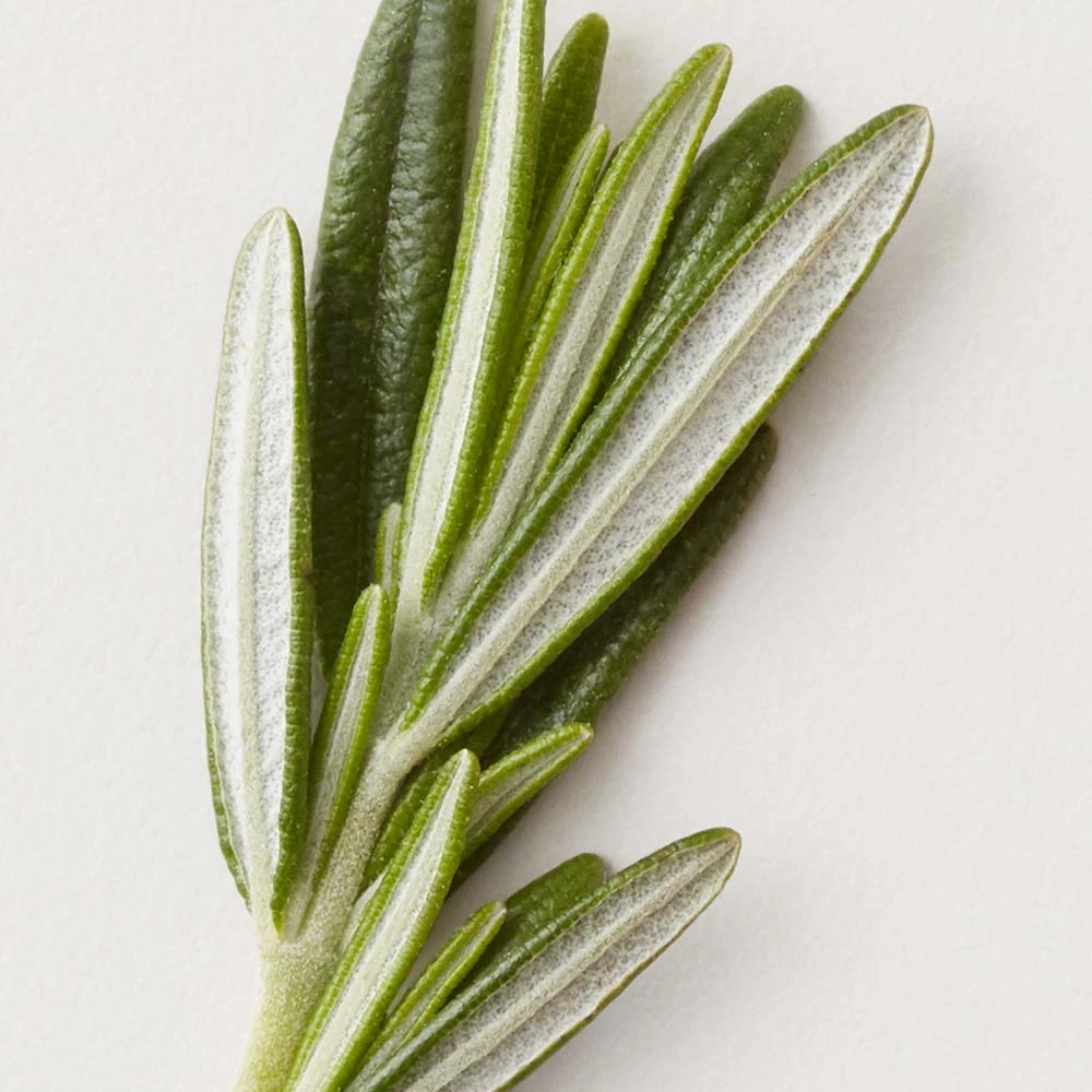 AG Care Stucco Matte Clay Paste 75ml 8 AG Care Stucco Matte Clay Paste 75ml - Image 6