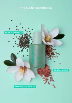 DesignMe Gloss.Me Hair Serum 80ml -Price Attack Shop designmedesignme gloss me hair serum 80ml gloss me hair serum 10ml copy 3 8e0ce713 b4ed 4102 a66d ada900a31d19